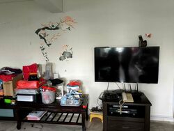 Blk 127 Tampines Street 11 (Tampines), HDB 5 Rooms #522076411